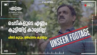 എണ്ണം കുറച്ച് ഉല്പാദനം കൂട്ടാനുള്ള മാർഗം | Art Of Maintaining Space in pepper plantation | Kumbukkal