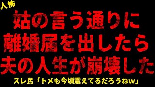 【2chヒトコワ】姑の言うとおりにしてあげた【ホラー】【人怖スレ】