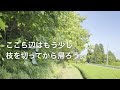 【実家の開拓＆diy】荒れ果てた家周りに道を開拓。