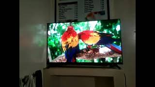 52 inches tv 😱 || full HD LED tv...with a great sound..#totalenjoyment