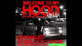 DJ Khaled Ft  Ludacris, T Pain, Busta Rhymes, Mavado, Twista, Birdman, Ace Hood, Fat Joe, Bun B, Game & Waka Flocka Flame – Welcome To My Hood Official Remix