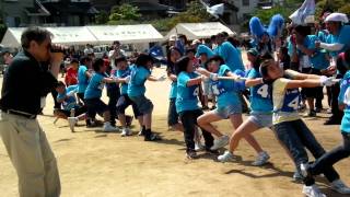 井口四丁目町内会_2011体育祭_小学生綱引き