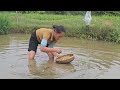 minh gradually regained his memory. pellets for harvesting snails and vegetables for sale