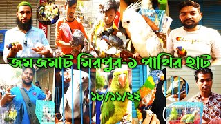 মিরপুর-১ পাখির হাট ১৮-১১-২২| বাজারে  অফার চলছে| ককাটেল, টারকুজিন, লাভবার্ড, বাজরিকা, কনুর পাখির দাম