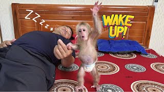 Kyo wakes up Dad in a surprise way – A fun morning begins!