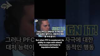 인생은 전전두피질(PFC)에 달려있다(eng