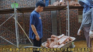 10：为了盖上两间大瓦房，文文和小虎努力工作，作妖的丈母娘只会添乱