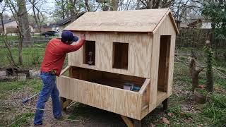 Backyard Chicken Coop Anyone Can Build!