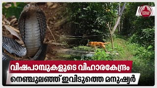 വിഷപാമ്പുകളുടെ വിഹാരകേന്ദ്രം, നെഞ്ചുലഞ്ഞ് ഇവിടുത്തെ മനുഷ്യര്‍ | Amballoor Electronics Park | Kochi