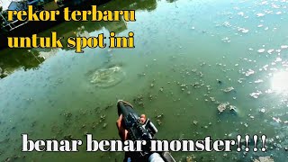 Gak nyangka ada ikan sebesar ini, di spot yang selalu ramai oleh pemaser dan pemancing nya