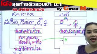 โค้งสุดท้ายติวสอบเข้าม.1 รร.สาธิตฯปทุมวัน วิชาวิทยาศาสตร์