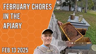 February 13th Chores in the Apiary - Jacksonville FL Zone 9b