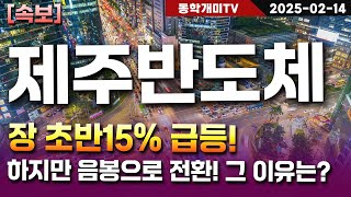 제주반도체-장 초반15% 급등! 하지만 음봉으로 전환! 그 이유는?