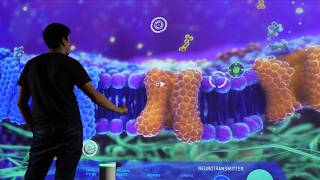 The Brain Odyssey: Interactive Neuroscience Exhibit and Immersive Brain Education Experience