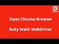 Watir WebDriver Open Chrome Browser