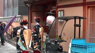 京都花街宮川町新年挨拶回り（一）2018/1/5#japan#kyoto#kagai#miyagawacho#geiko#maiko