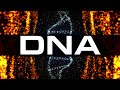 Your DNA's Full Potential Will Be ACTIVATED 531Hz 432Hz Binaural Beats