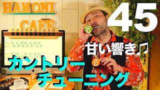 45. ハーモニカ の カントリーチューニング の甘い響きを楽しもう♫／ハーモニカ バラエティー HAMONICAFE(ハモニカフェ)