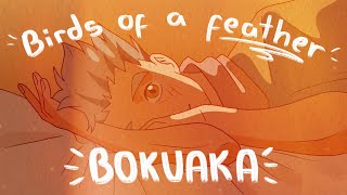 BIRDS OF A FEATHER | BokuAka - In another life