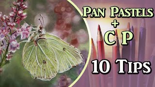 Pan Pastels + Colored Pencil - 10 Tips