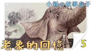 📚睡前故事05📚《老象的回憶》🐘｜床邊故事20211110｜小新的故事盒子