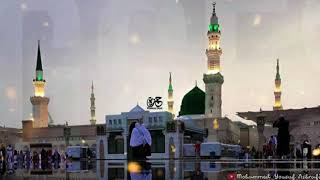 Eid Milad Un Nabi Whatsapp status ❤12 Radi Ul Awal Naat status🌹New Eid Milad Un Nabi status💛2020💚