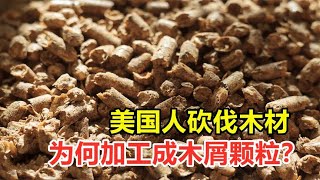 美国人砍伐木材，为何加工成木屑颗粒？它到底有什么用处？