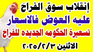 اسعار الفراخ البيضاء اليوم/ سعر الفراخ البيضاء اليوم الاثنين 2025/2/3 في مصر جمله وقطاعي