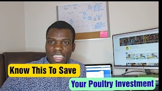 How Your Poultry Can Collapse