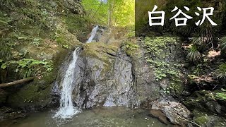 【沢登り】白谷沢