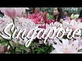 Singapore's Beautiful Indoor Nature | Cloud Forest & Flower Dome