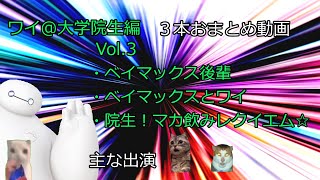 大学院生ワイ！おまとめ便３#猫ミーム #猫マニ