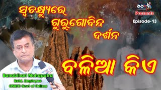 Episode-13 // ସ୍ଵଚକ୍ଷ୍ୟୁରେ ଗୁରୁ ଗୋବିନ୍ଦ ଦର୍ଶନ ///ବଳିଆ କିଏ ? //Balia kie ? // Banabihari Mohapatra