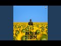 After the storm