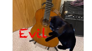 How my cat destroyed my acoustic guitar