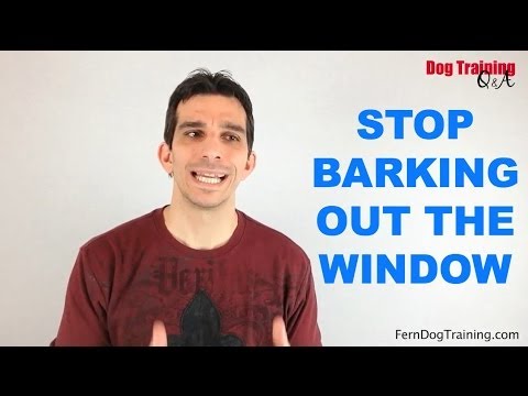 How to Stop Dogs Barking Out the Window How to Stop Dogs Barking Out the Window