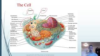 Lecture 1a Introduction and Fluid Homeostasis