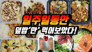 일주일동안 덮밥'만' 먹으면 얼마나 찔까? 행복은 탄수화물에서 나오는 먹방 브이로그 (13가지 덮밥 비교/치즈폭탄 밥피자 만들기) Rice Week Challenge