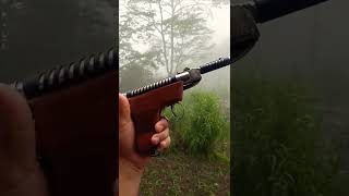 Air gun pistol ( fun air gun)