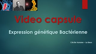 Video Capsule : Expression génétique bactérienne