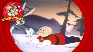Looney Tunes - Cartoon Compilation