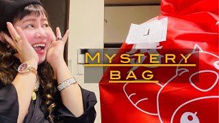 JAPAN CRAZIEST MYSTERY BAG HAUL 2023 / LUCKY BAG ( FUKUBUKURO)