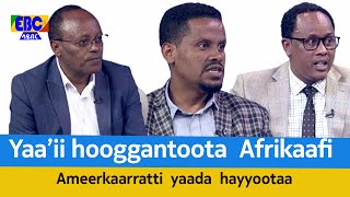 Yaa’ii hooggantoota  Afrikaafi  Ameerkaarratti  yaada  hayyootaa