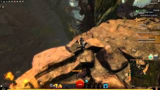 GW2 Tendril Torchers Adventure Gold Medal Guide