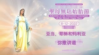 亚当，耶稣和玛利亚-圣母无染原罪节2022/12/8