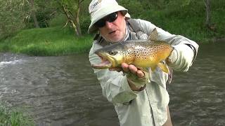 Spring Streamer Action in the Driftless