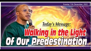 WALKING IN THE LIGHT OF OUR PREDESTINATION - Sunday Service - MCTV, Global | 11TH DEC 2022