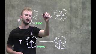 Allosteric Enzymes