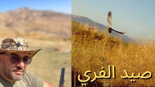 صيد الفري في جبال لبنان quail hunting