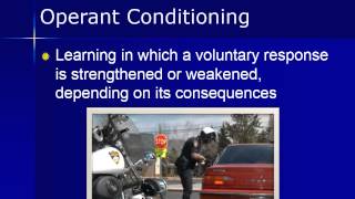PSY 101 Chapter 5 Video Lecture